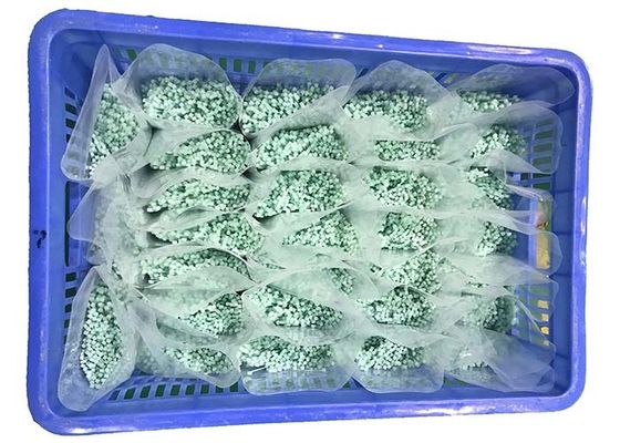 خرید کراوات های کابل نایلونی 2.5 درجه 2.5 میلی متری سبز online manufacture